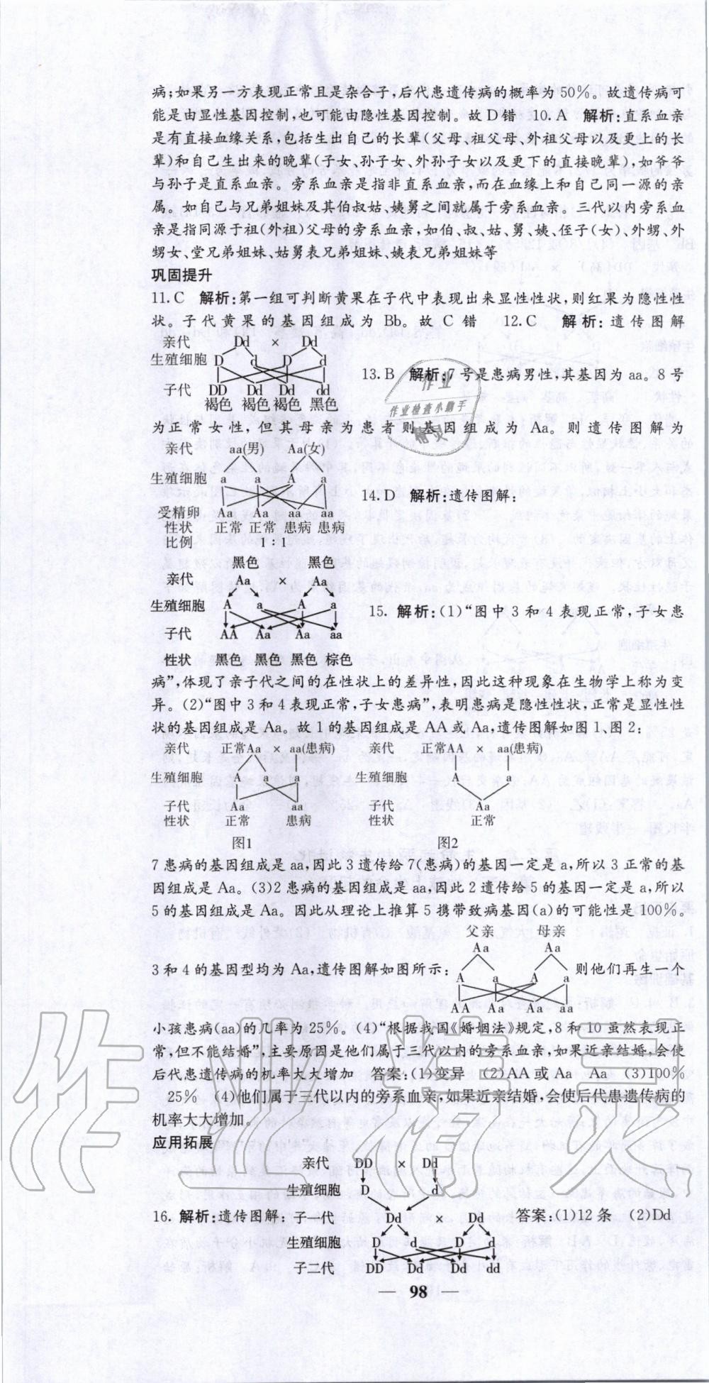 2020年課堂點睛八年級生物下冊人教版 第7頁