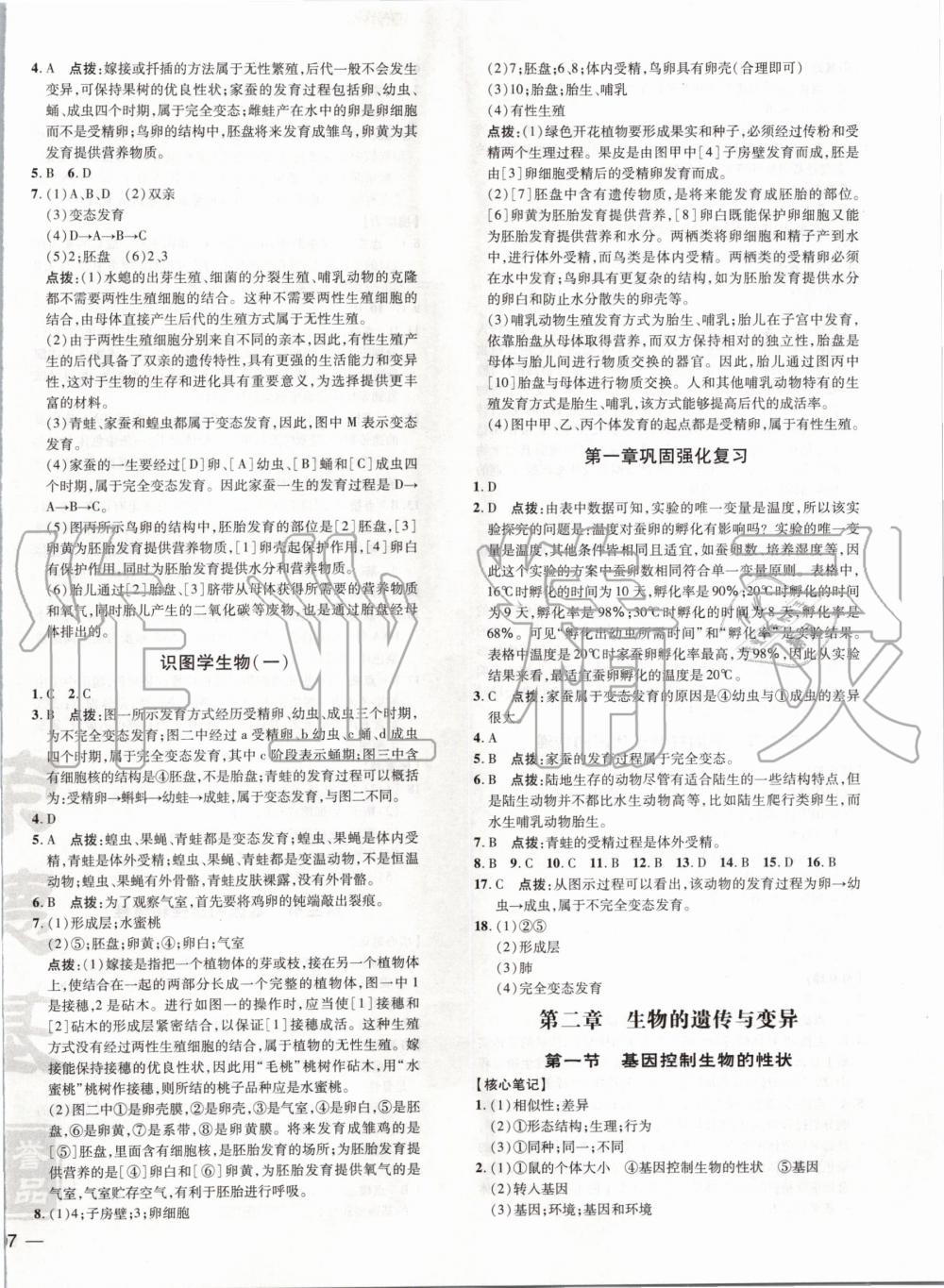 2020年點(diǎn)撥訓(xùn)練八年級(jí)生物下冊(cè)人教版 第3頁(yè)