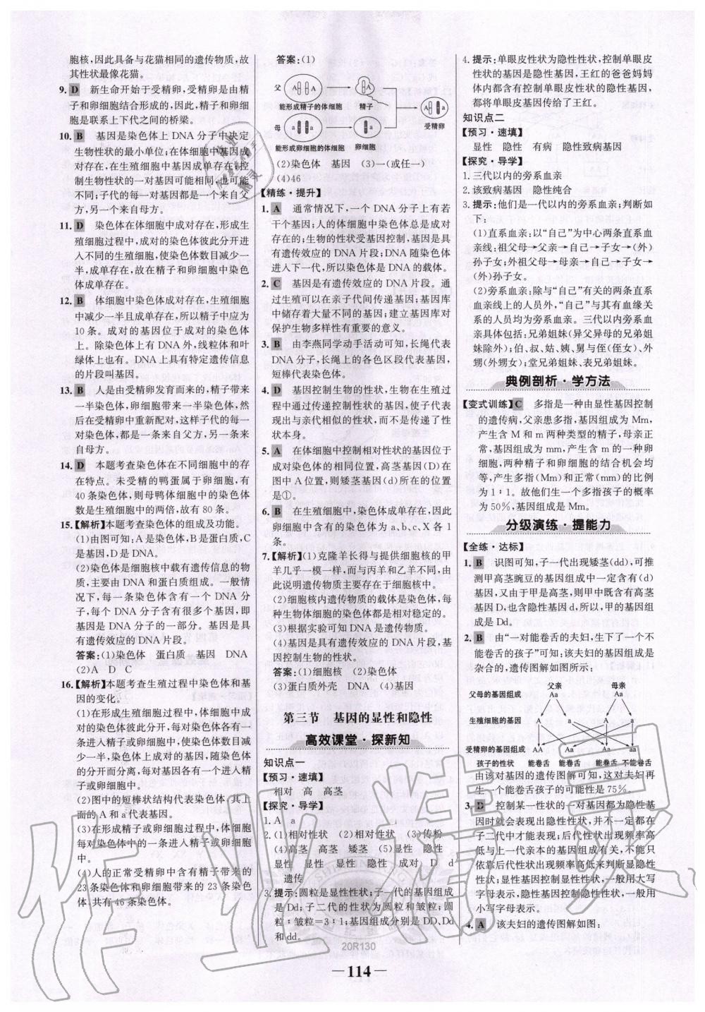 2020年世紀金榜初中金榜學案八年級生物下冊人教版 第6頁