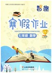2020年智趣寒假作业七年级数学人教版云南科技出版社