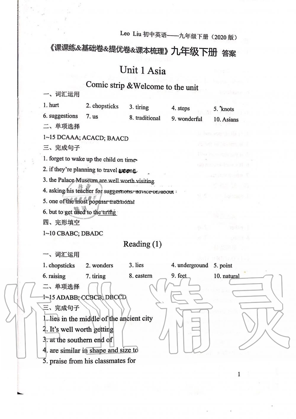 2020年LeoLiu中学英语九年级下册译林版 第1页