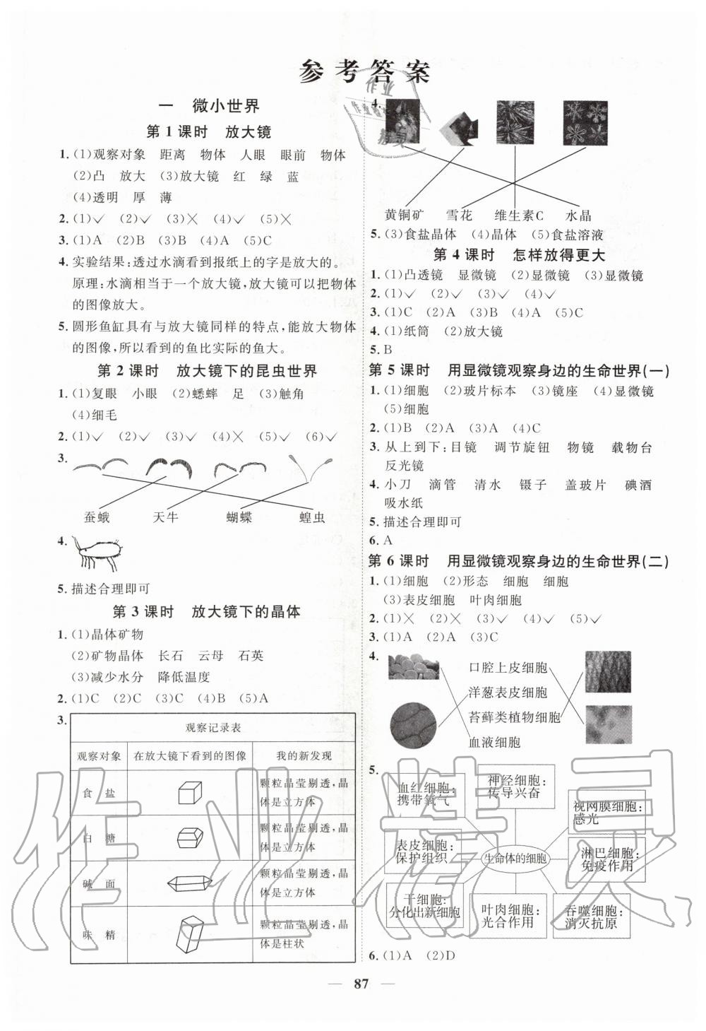 2020年陽光同學(xué)課時(shí)優(yōu)化作業(yè)六年級(jí)科學(xué)下冊教科版 第1頁