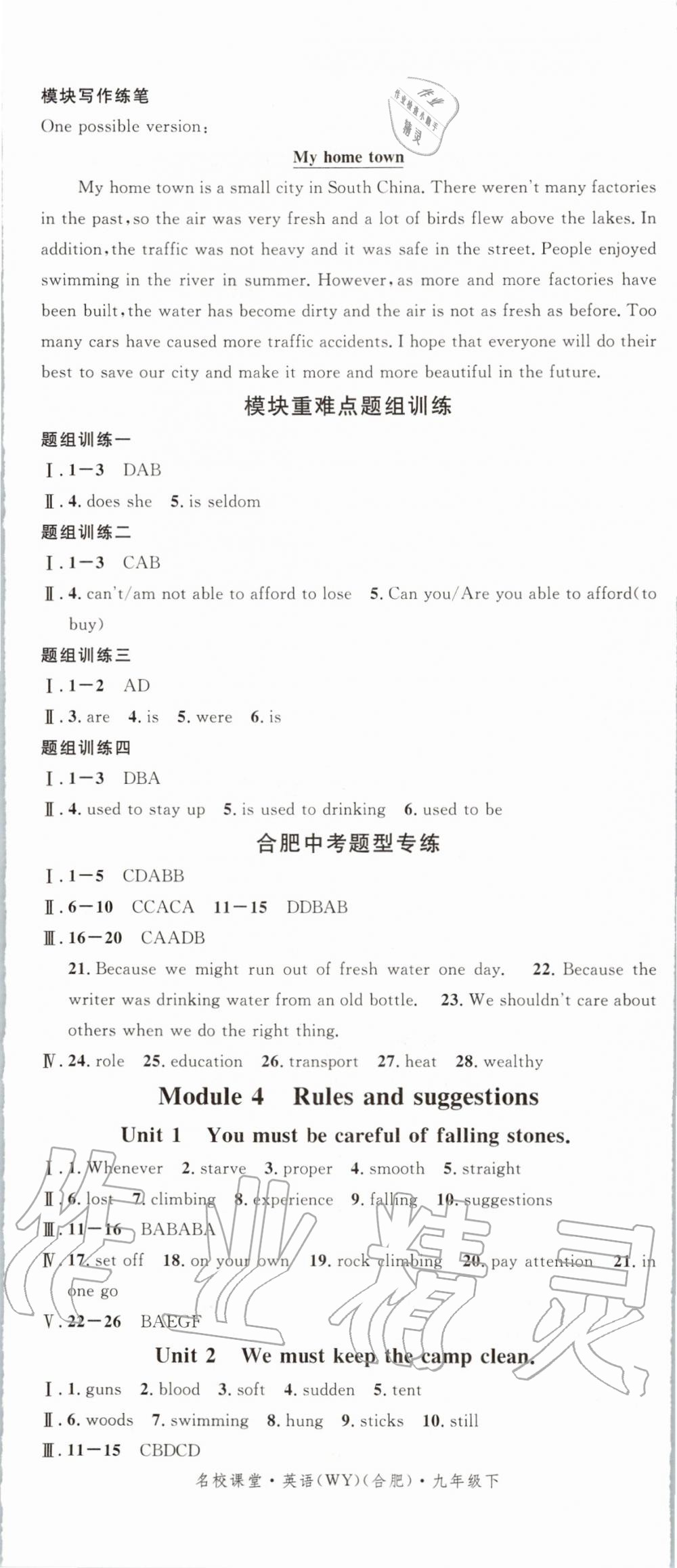 2020年名校课堂九年级英语下册外研版合肥专版 第5页