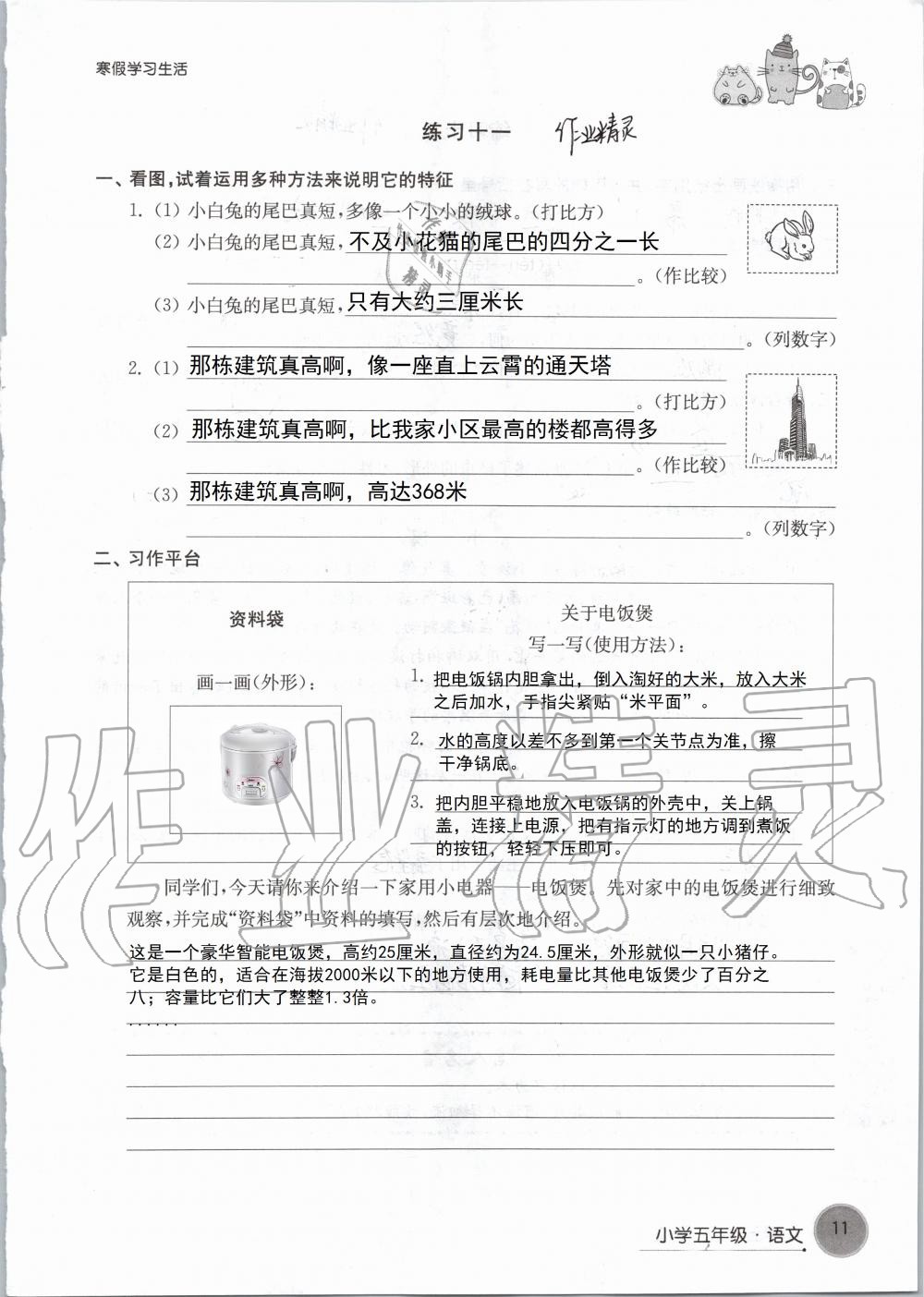 2020年寒假学习生活五年级译林版译林出版社 第11页
