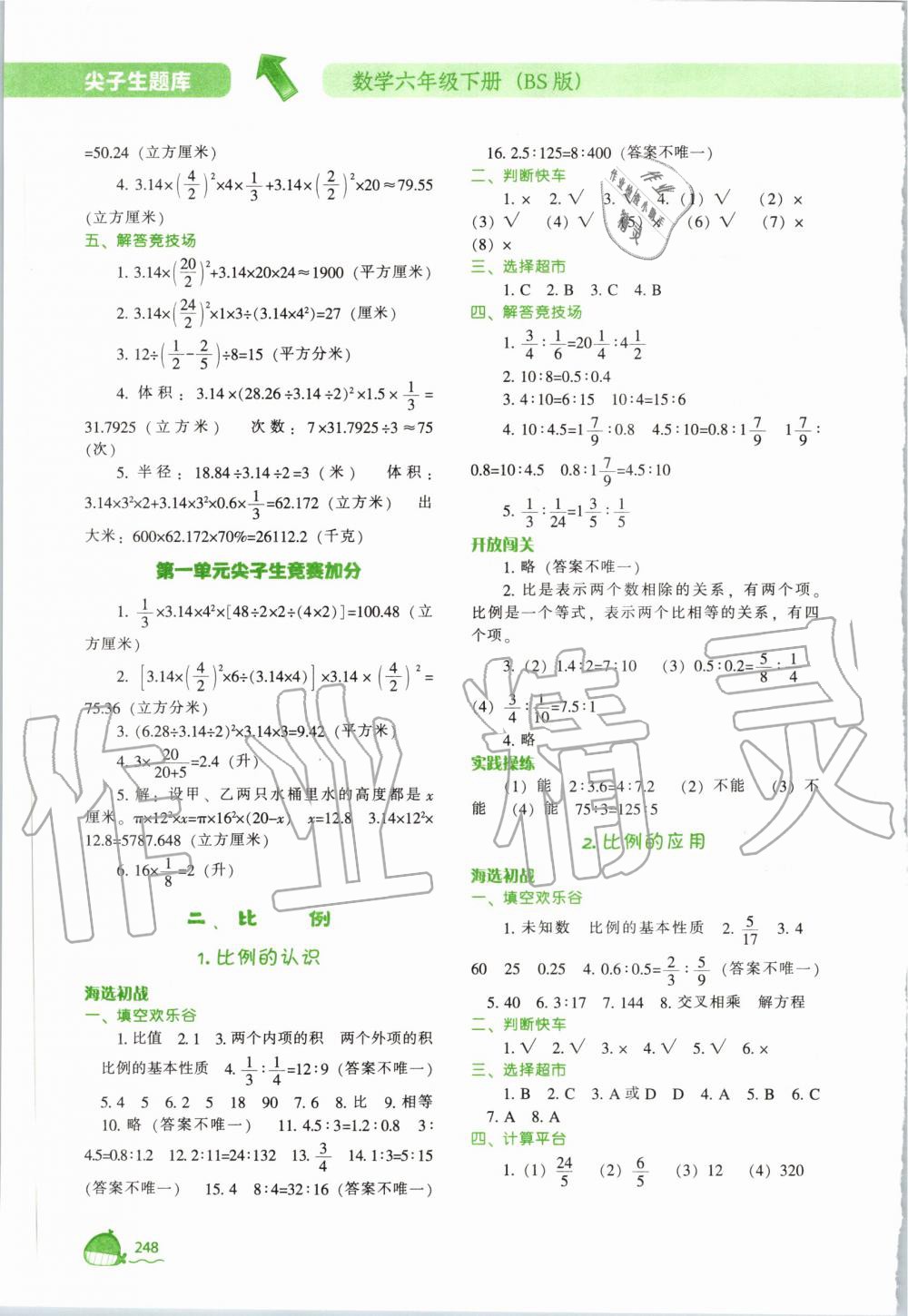 2020年尖子生题库六年级数学下册北师大版 第4页
