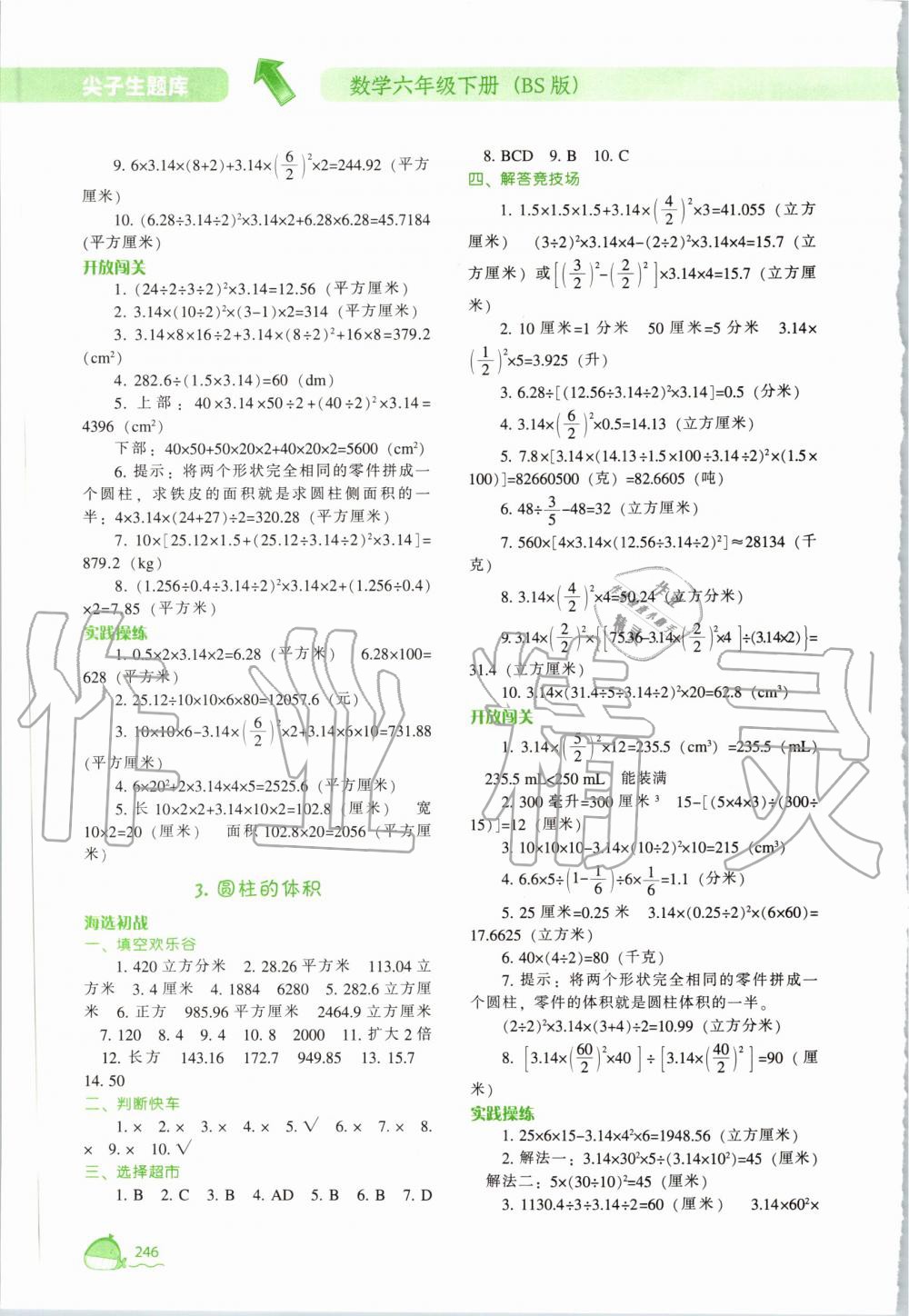 2020年尖子生题库六年级数学下册北师大版 第2页