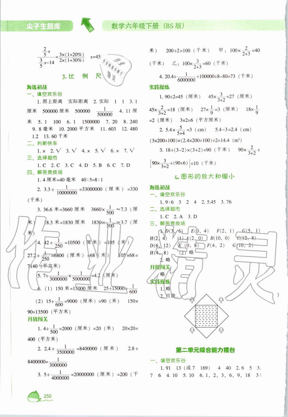 2020年尖子生题库六年级数学下册北师大版 第6页