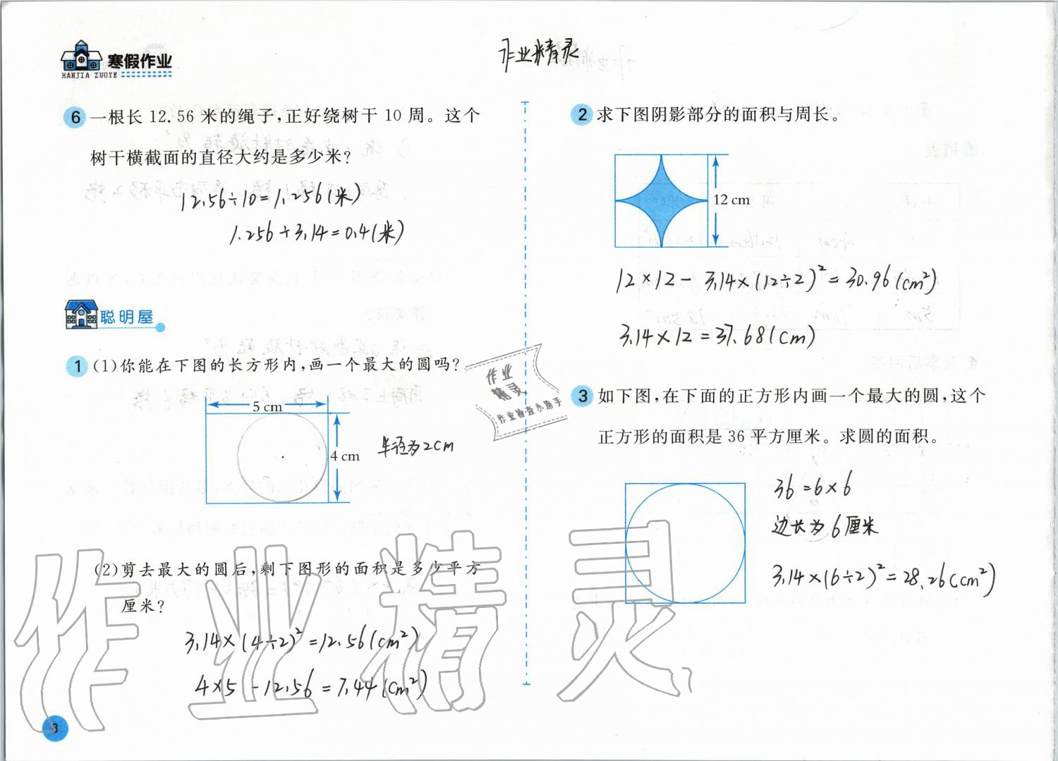 2020年寒假作业六年级数学北师大版安徽少年儿童出版社 第8页