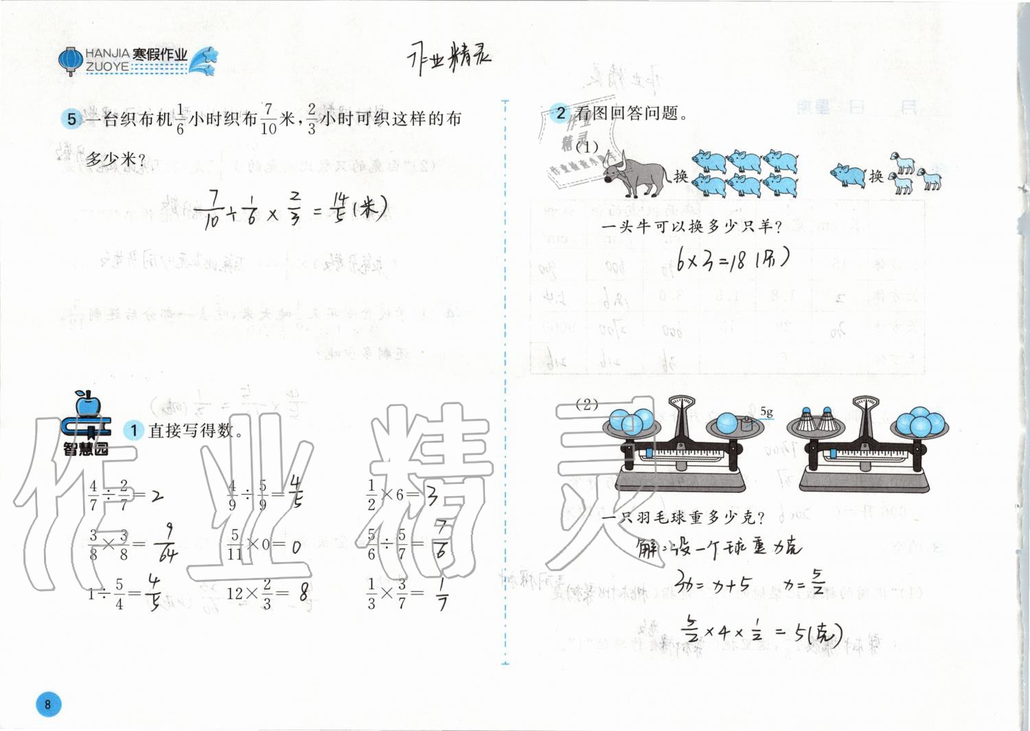 2020年寒假作业六年级数学苏教版安徽少年儿童出版社 第8页