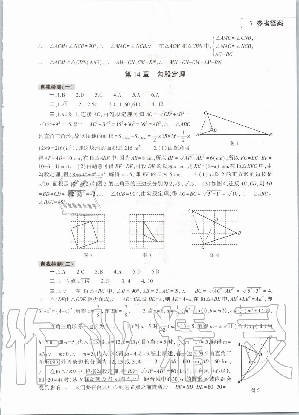 2020年寒假作业本八年级数学英语物理地理生物学合订本大象出版社 第3页