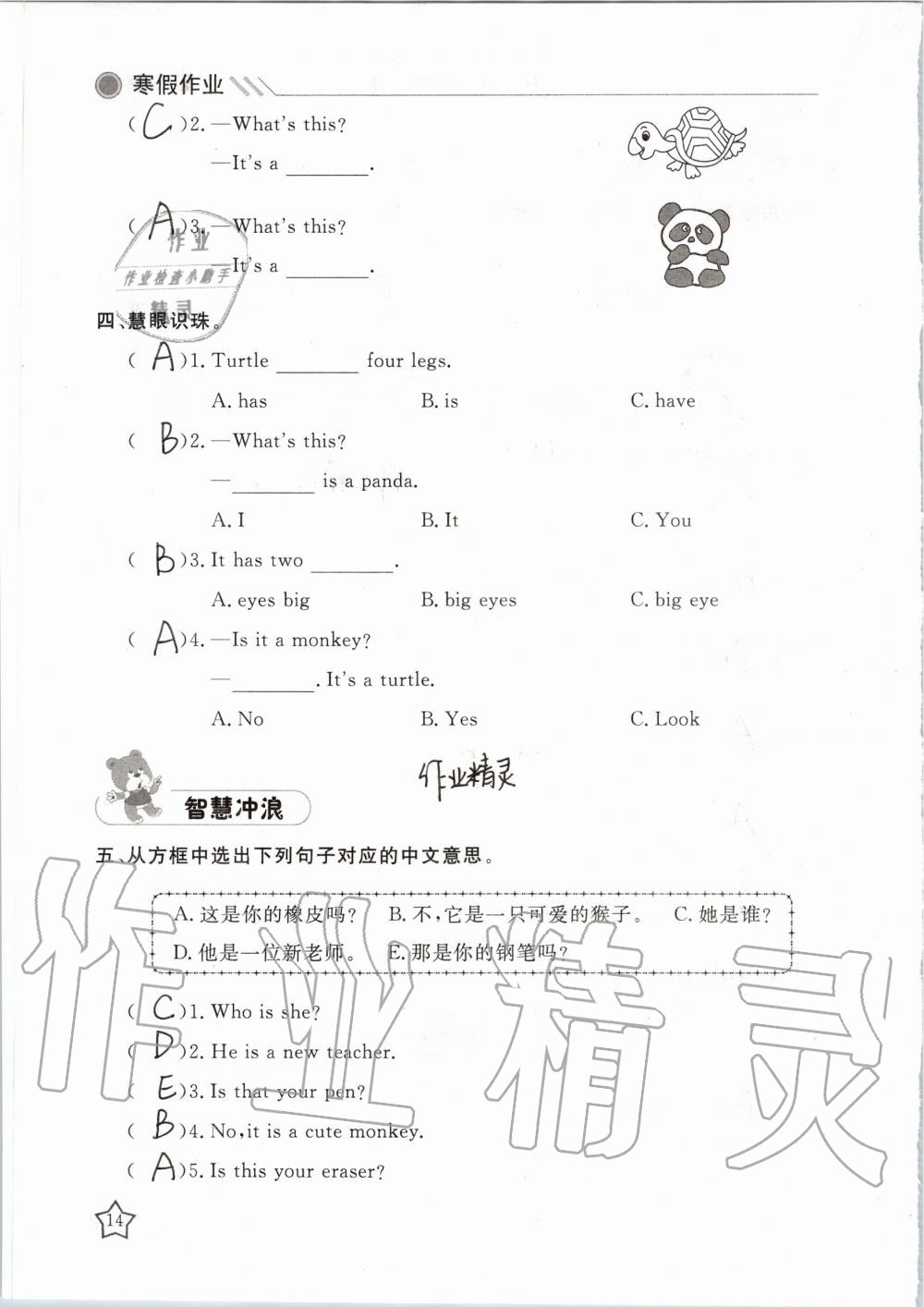 2020年湘岳假期寒假作业三年级英语 第14页