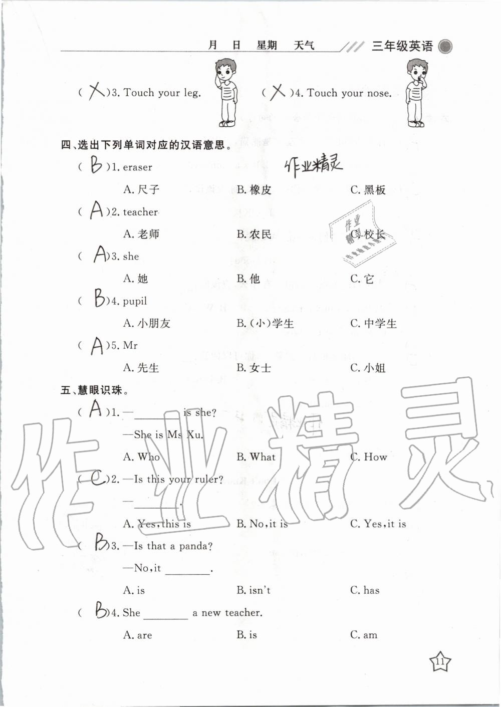 2020年湘岳假期寒假作业三年级英语 第11页