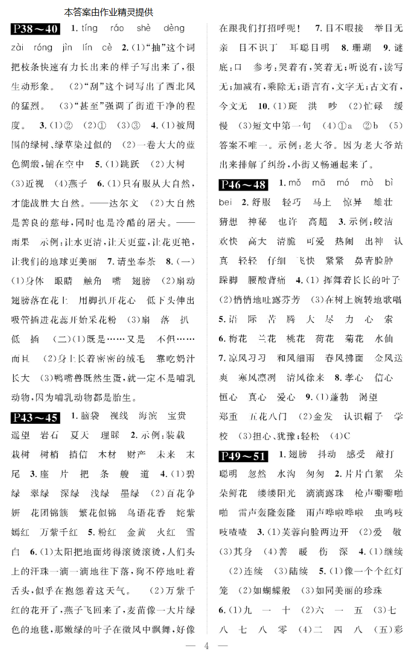 2019年长江寒假作业三年级语文崇文书局 参考答案第4页