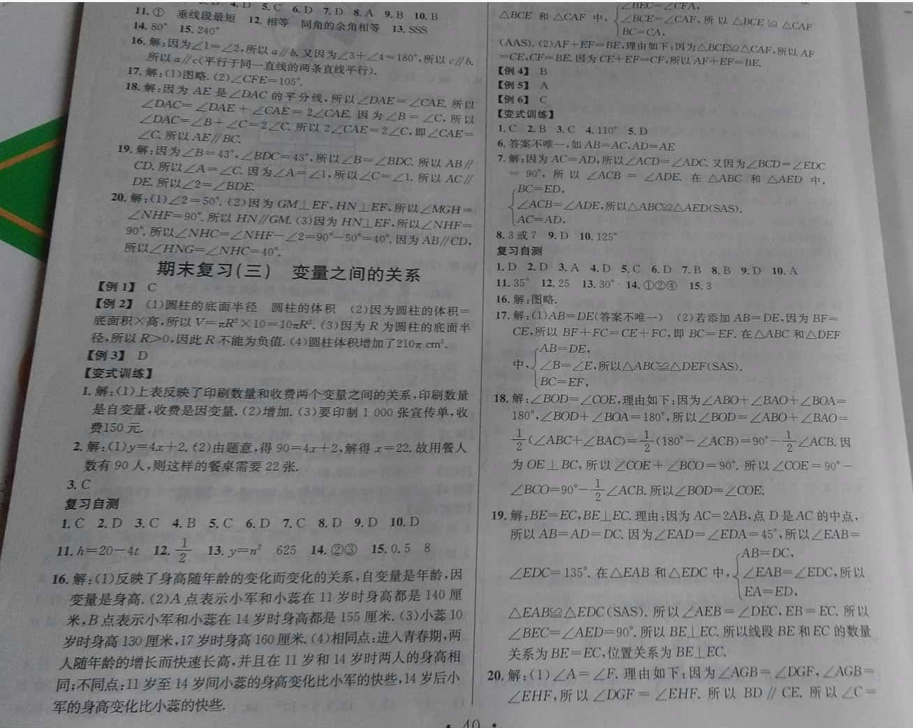 2019年名校课堂七年级数学下册北师大版河南专版 参考答案第20页