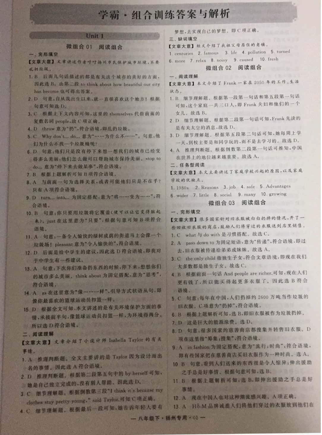 2019年經(jīng)綸學(xué)典學(xué)霸八年級(jí)英語(yǔ)下冊(cè)譯林版揚(yáng)州專(zhuān)版 參考答案第1頁(yè)