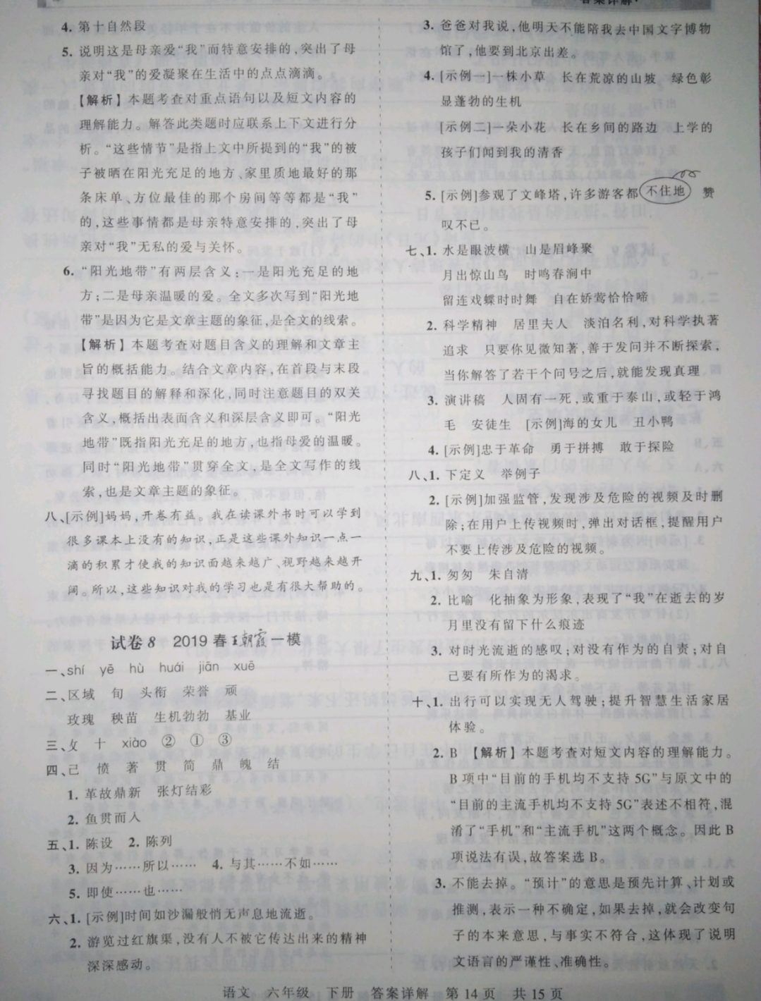 2019年王朝霞期末真題精編六年級語文下冊人教版 參考答案第14頁