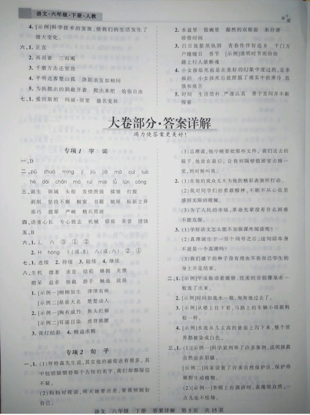 2019年王朝霞期末真題精編六年級(jí)語文下冊(cè)人教版 參考答案第5頁