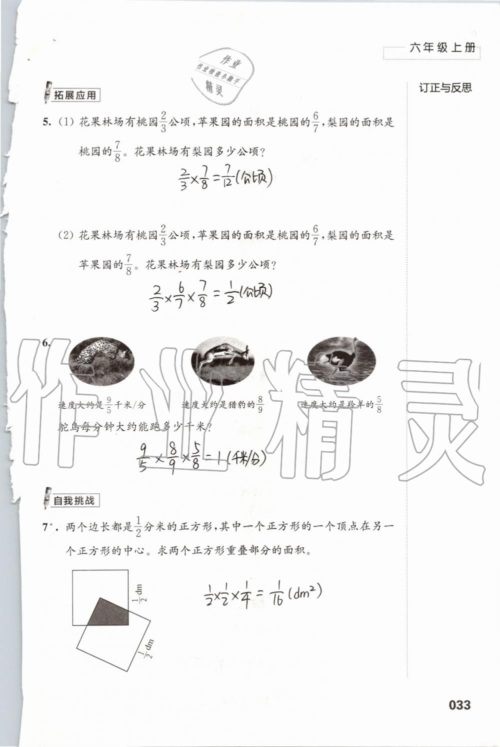 2019年练习与测试小学数学六年级上册苏教版 第33页