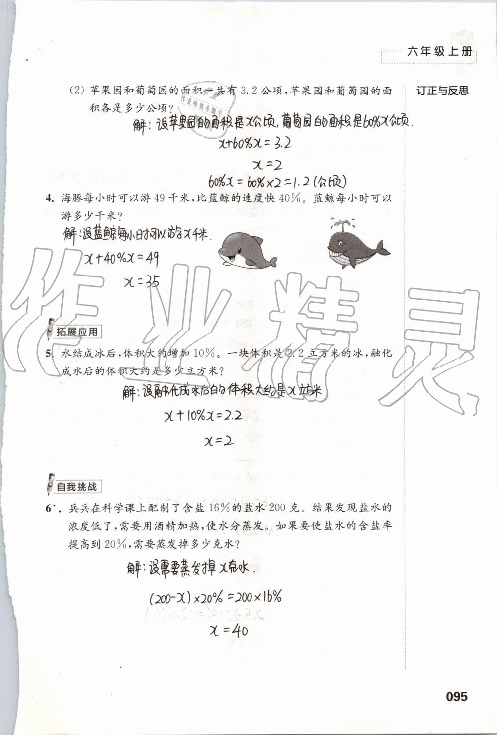 2019年练习与测试小学数学六年级上册苏教版 第95页