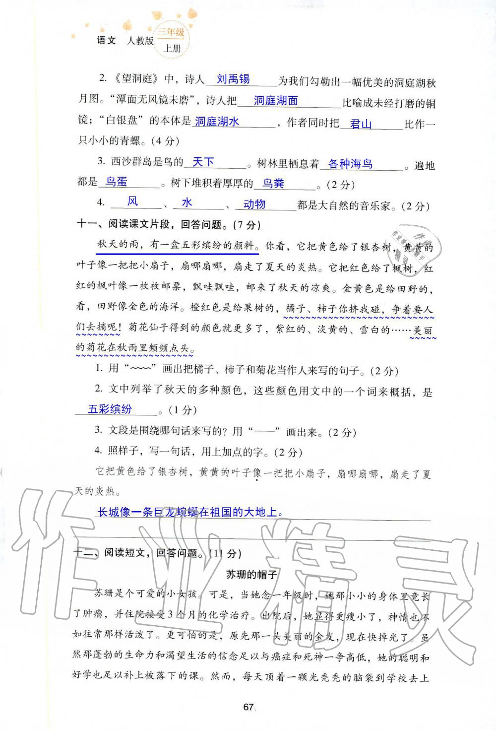 2019年云南省标准教辅同步指导训练与检测三年级语文人教版 参考答案第140页