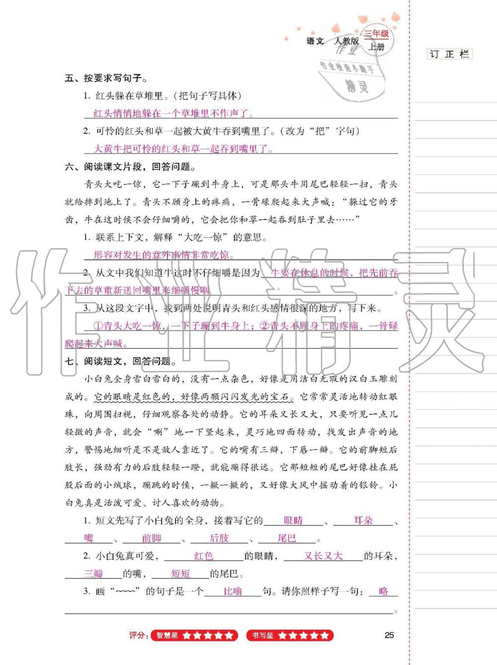 2019年云南省标准教辅同步指导训练与检测三年级语文人教版 参考答案第24页