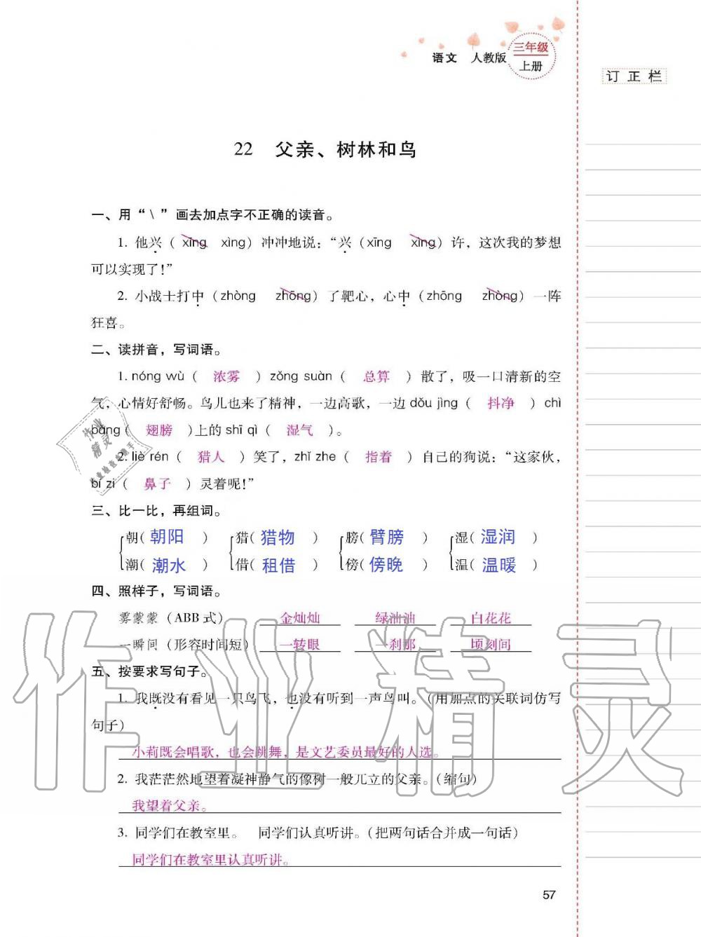 2019年云南省标准教辅同步指导训练与检测三年级语文人教版 参考答案第56页