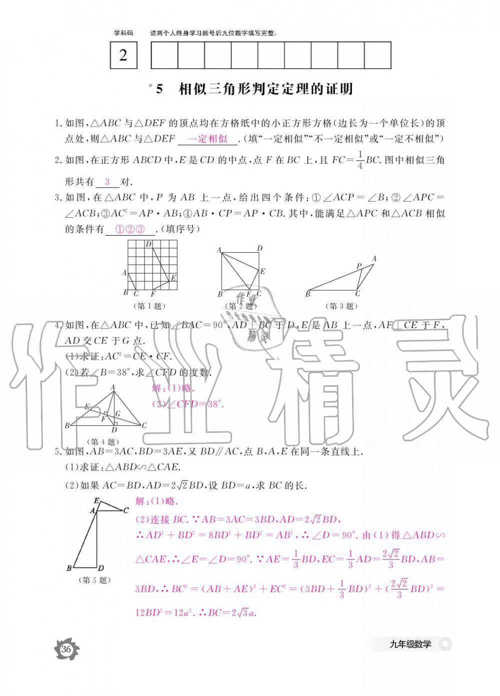 2019年數學作業(yè)本九年級全一冊北師大版 參考答案第36頁