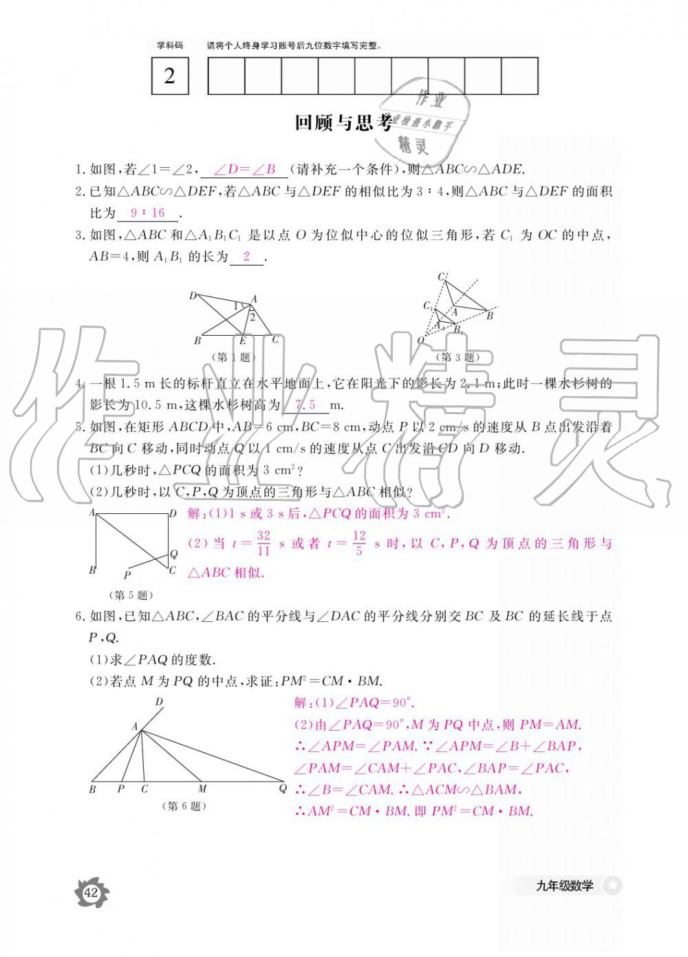 2019年數(shù)學(xué)作業(yè)本九年級(jí)全一冊(cè)北師大版 參考答案第42頁