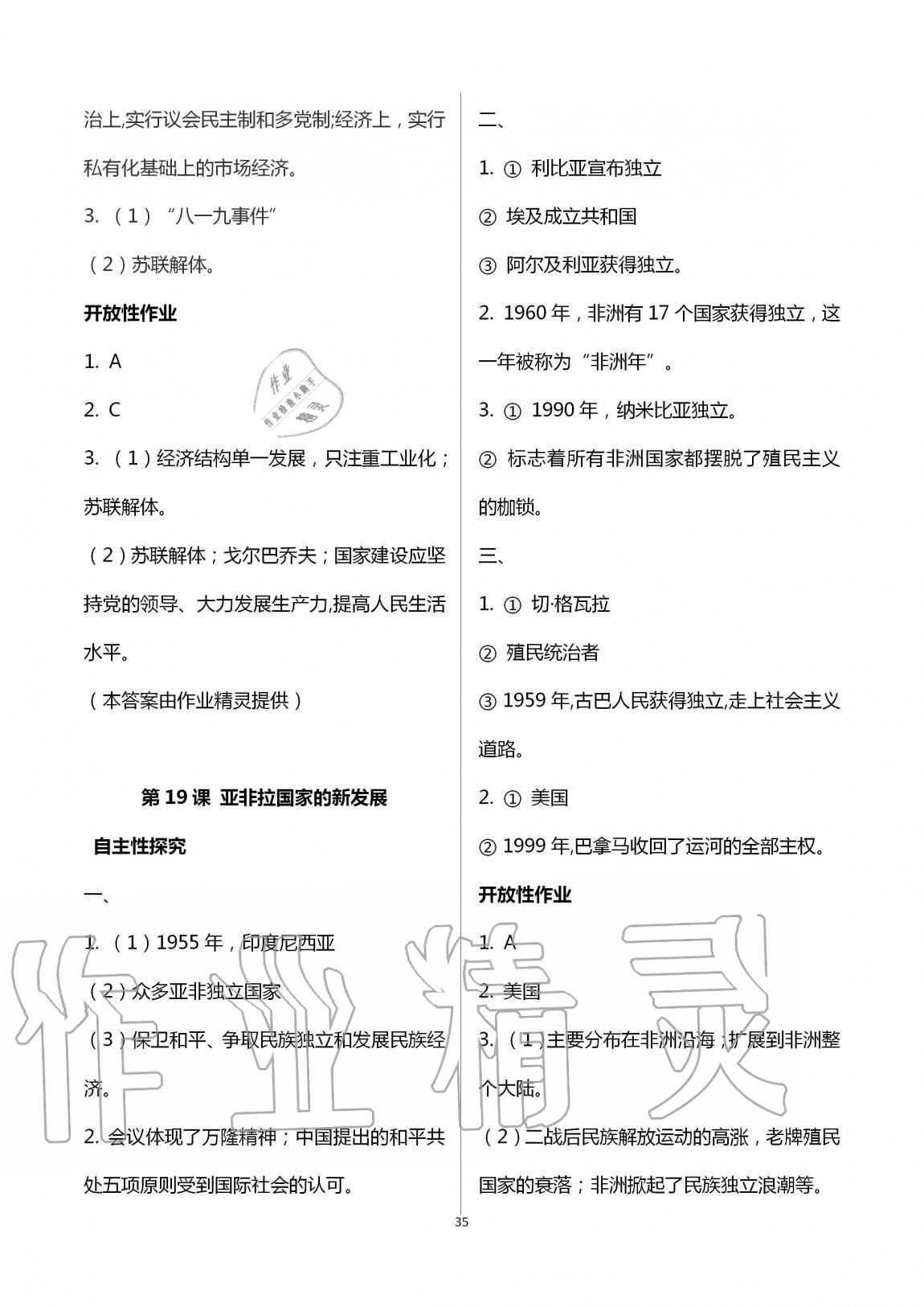 2019年自主學(xué)習(xí)指導(dǎo)課程九年級(jí)世界歷史全一冊(cè)人教版 第35頁(yè)