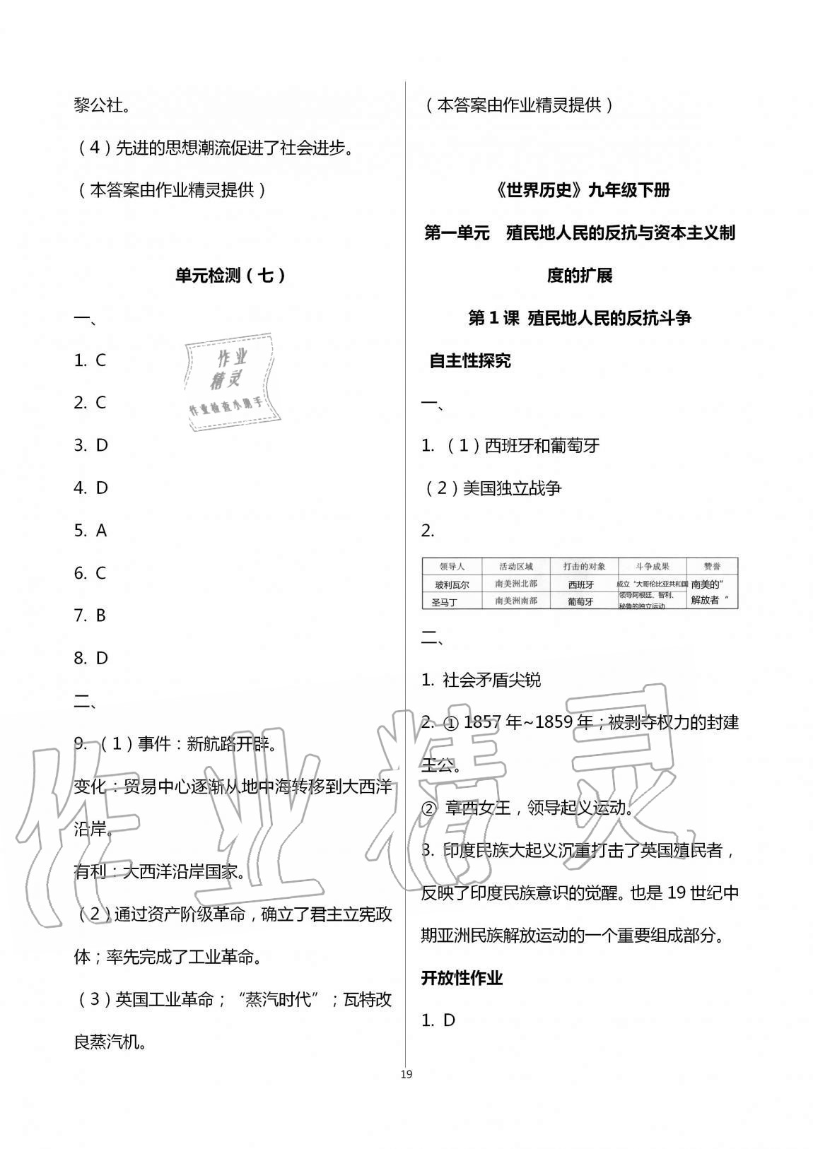 2019年自主學習指導課程九年級世界歷史全一冊人教版 第19頁