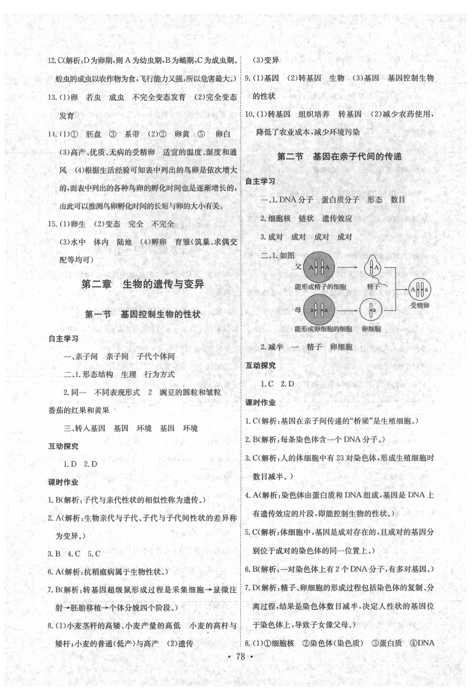 2020年长江全能学案同步练习册八年级生物学下册人教版 参考答案第4页