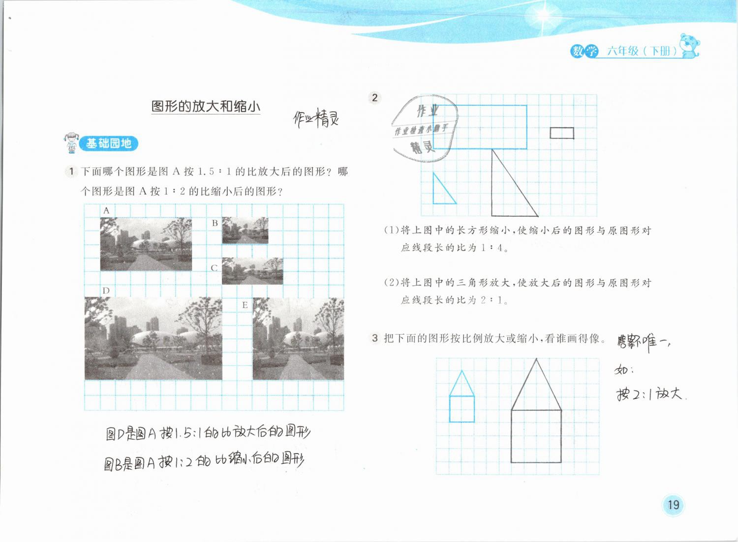 2020年新編基礎(chǔ)訓(xùn)練六年級(jí)數(shù)學(xué)下冊(cè)北師大版 第19頁(yè)