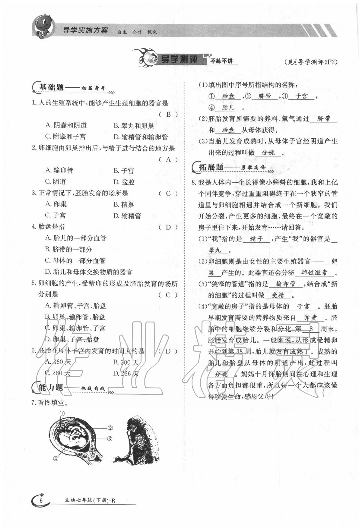 2020年金太陽導(dǎo)學(xué)案七年級(jí)生物下冊(cè)人教版 第6頁