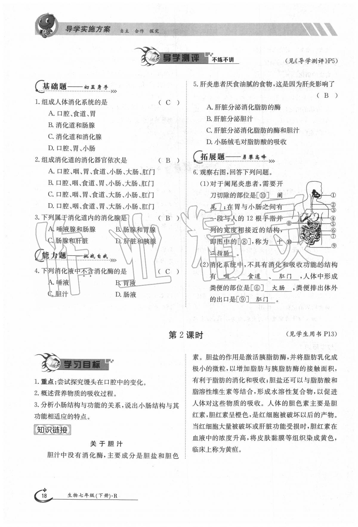 2020年金太陽導(dǎo)學(xué)案七年級生物下冊人教版 第18頁