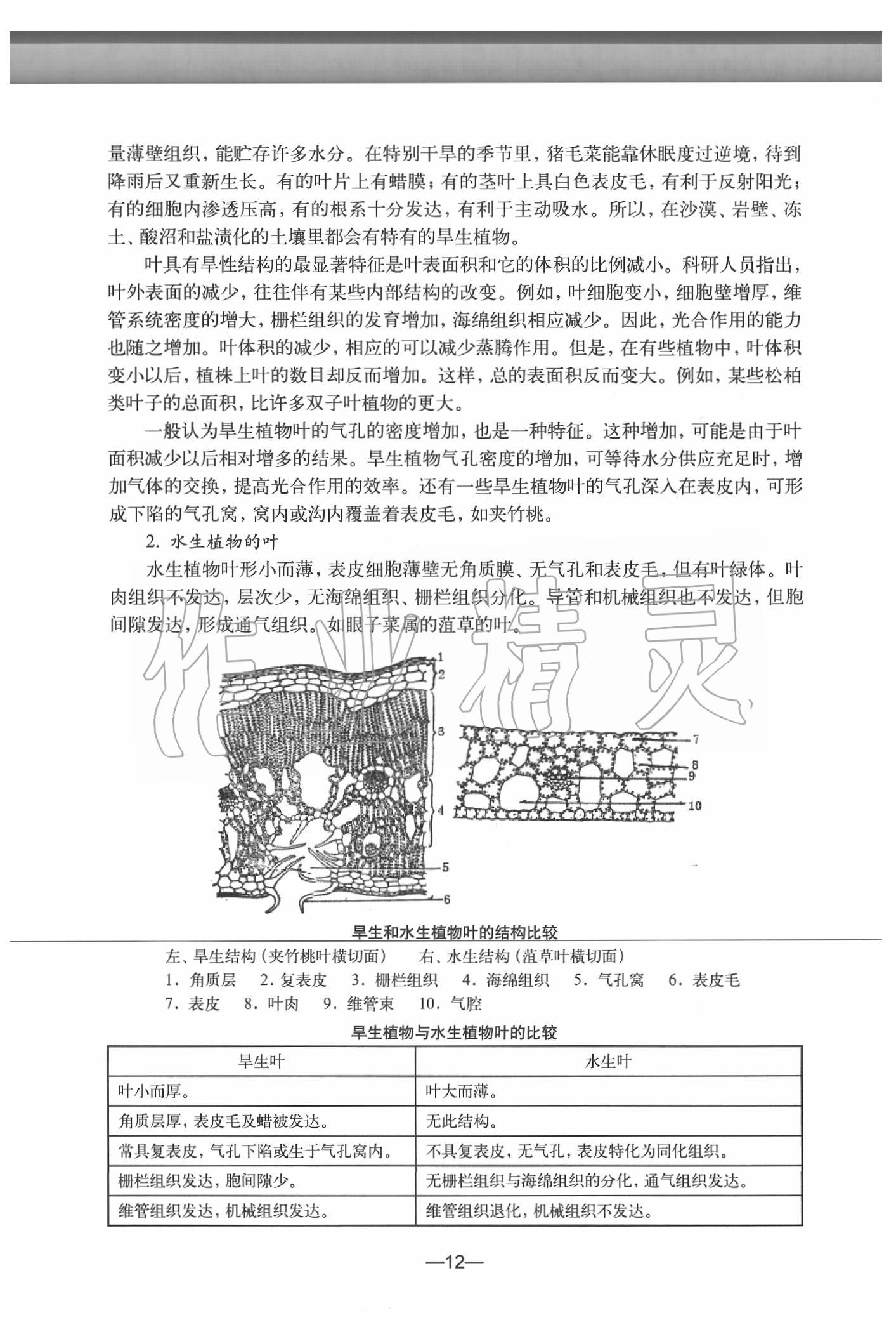 2020年生物練習(xí)部分初中第二冊(cè)滬教版 參考答案第12頁(yè)