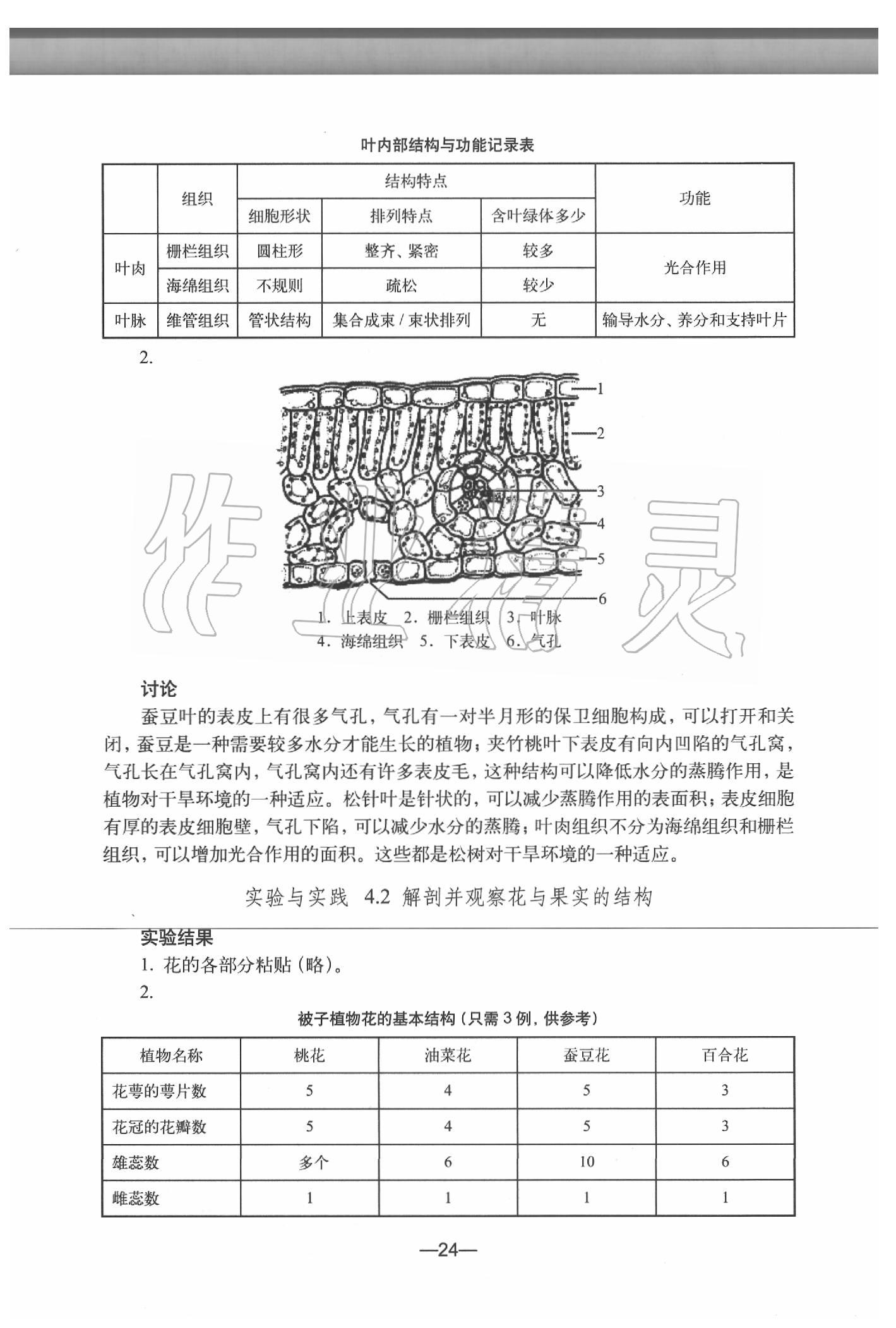 2020年生物練習(xí)部分初中第二冊滬教版 參考答案第24頁