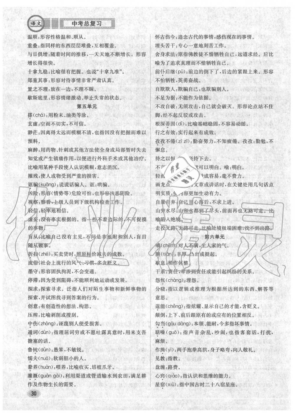 2020年中考總復(fù)習(xí)長(zhǎng)江出版社九年級(jí)語文中考用書 參考答案第31頁(yè)