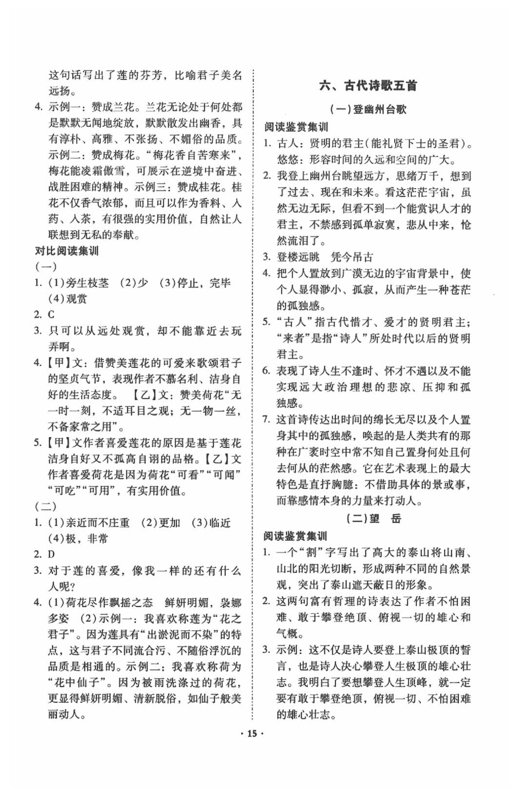 2020年初中文言文阅读训练及古诗词赏析训练昆明专版 第15页