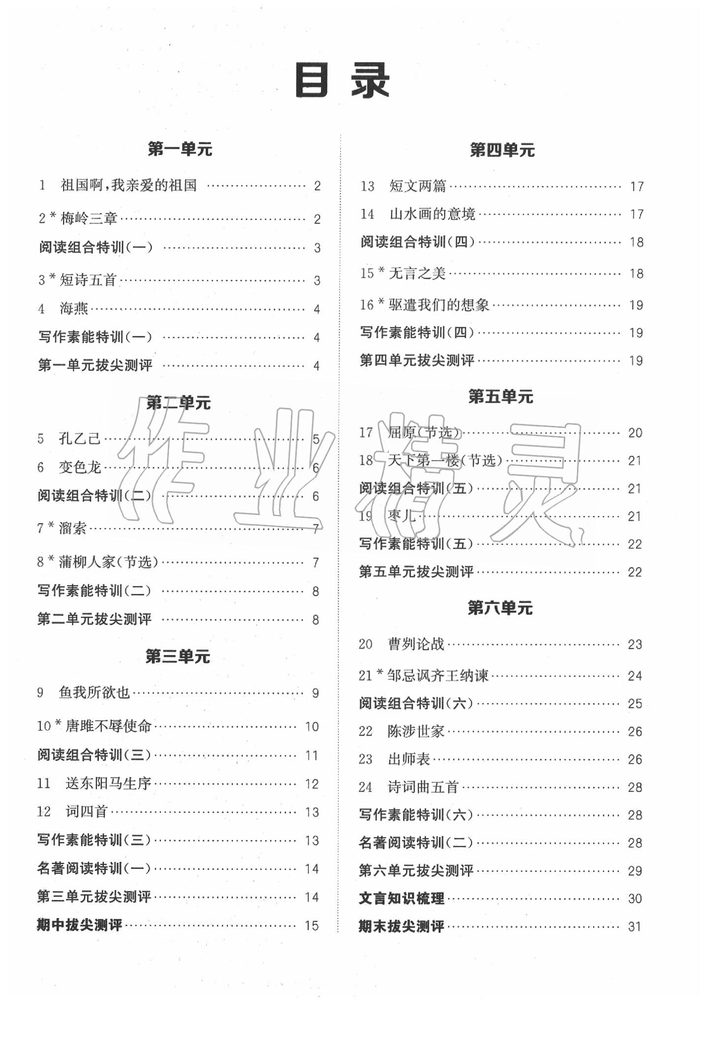 2020年拔尖特訓(xùn)九年級(jí)語(yǔ)文下冊(cè)人教版 第1頁(yè)