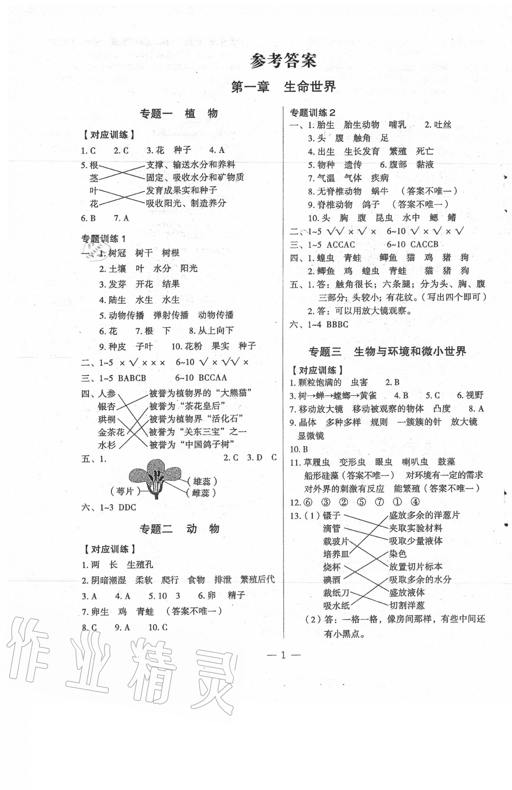 2021年名师面对面小考满分特训方案科学 第1页