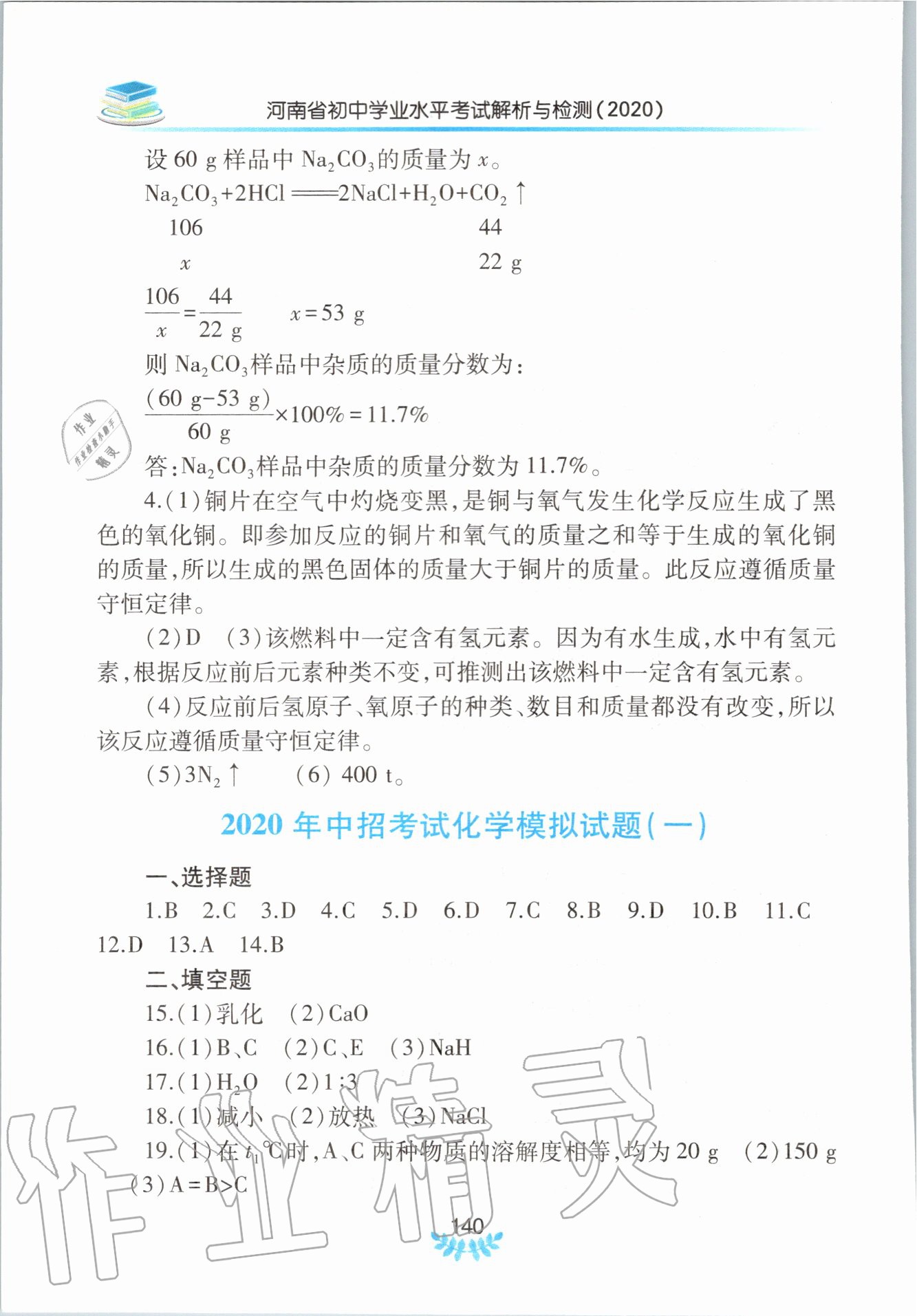 2020年河南省初中学业水平考试解析与检测化学下册 第4页