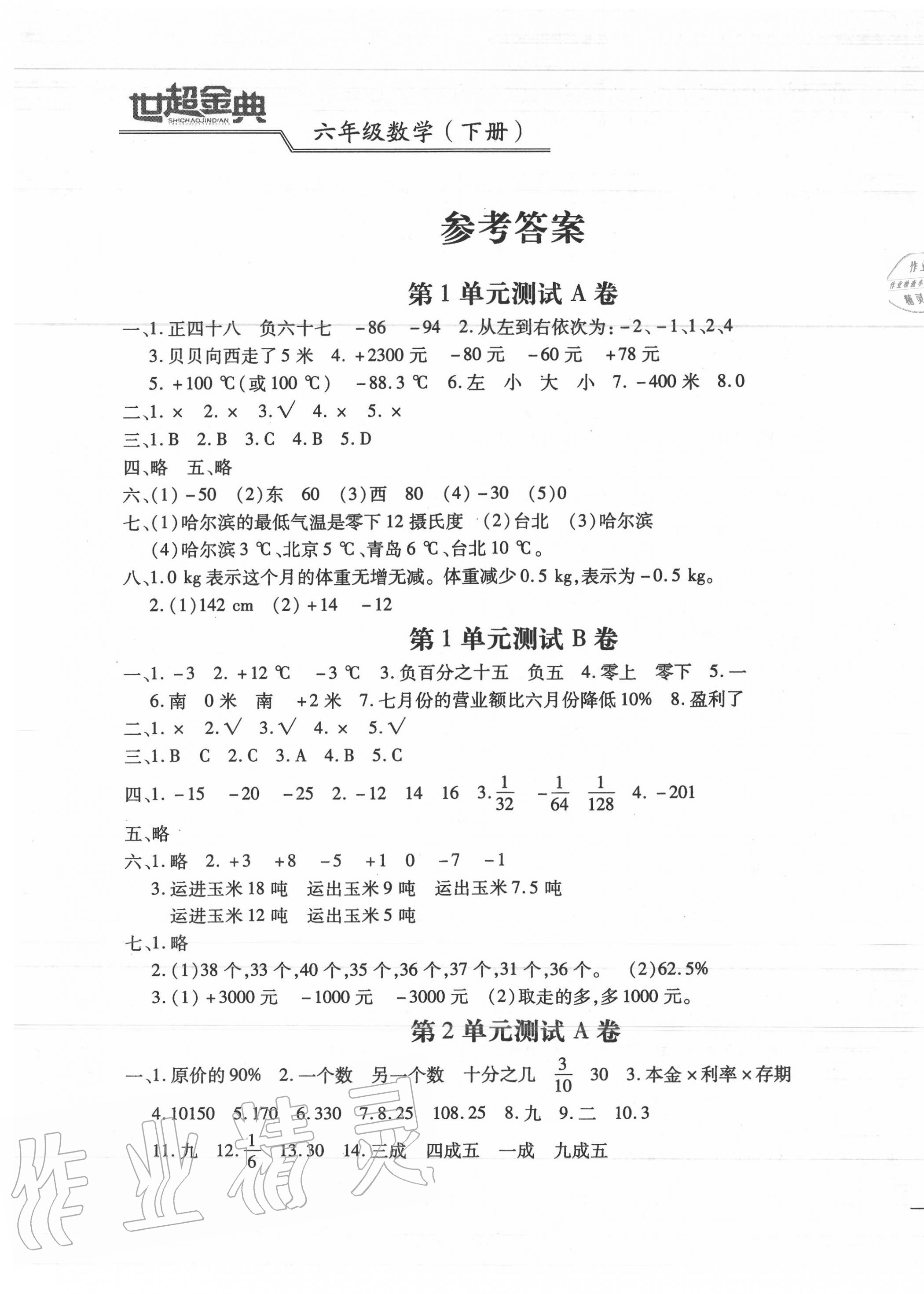 2020年世超金典三维达标自测卷六年级数学下册人教版 第1页