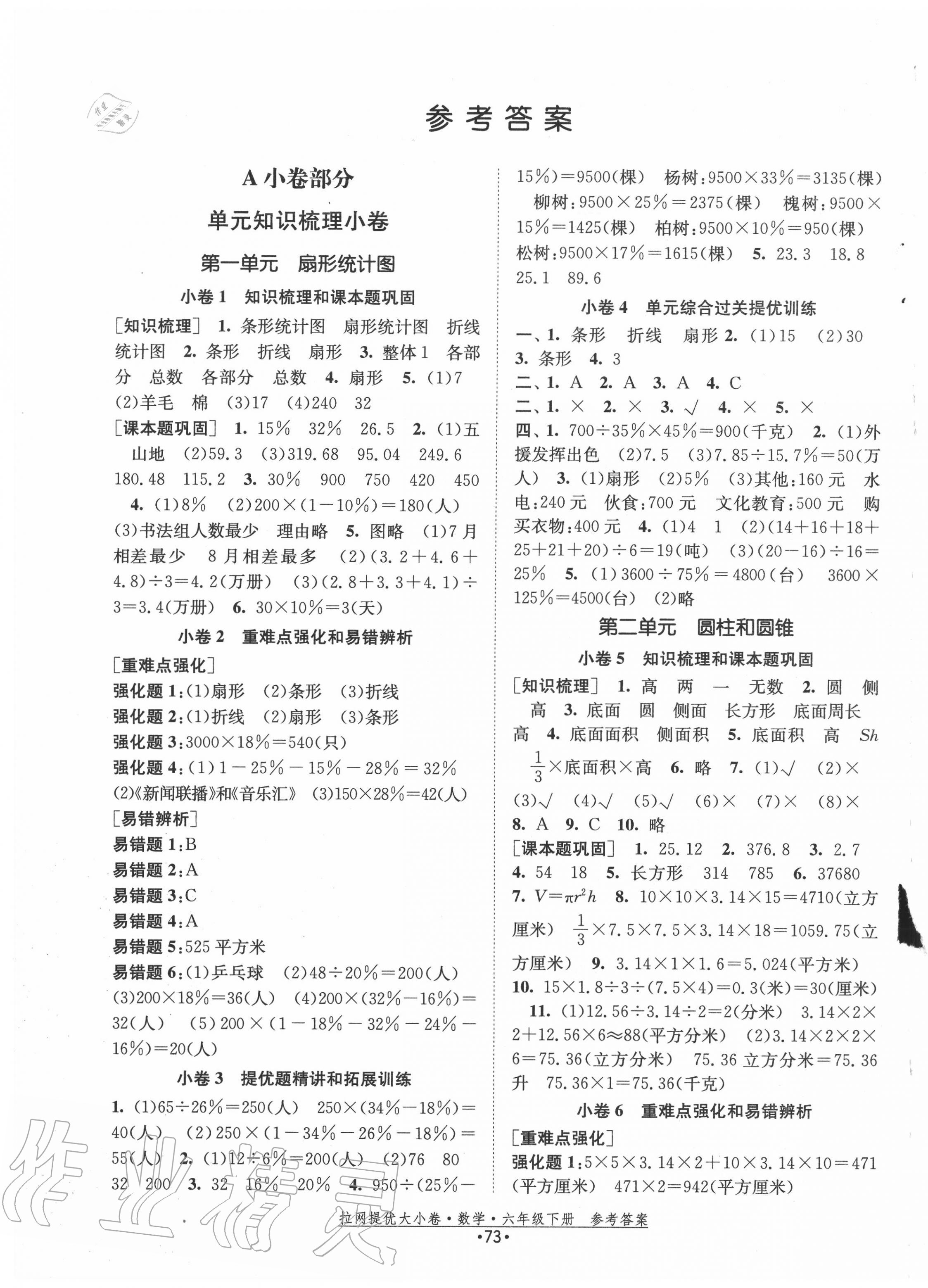 2020年拉网提优大小卷六年级数学下册苏教版答案—青夏教育精英家教