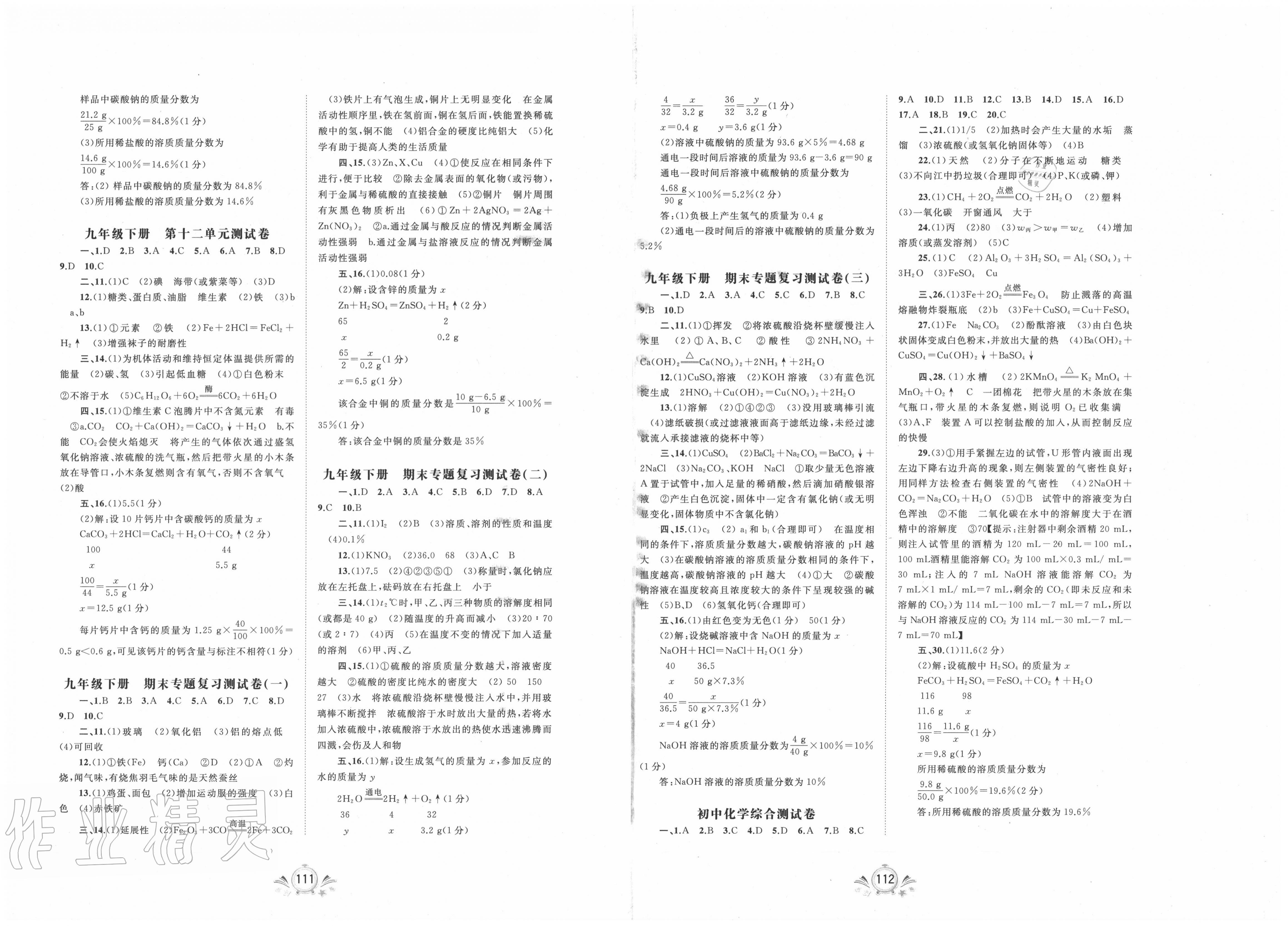 2019年新課程學(xué)習(xí)與測(cè)評(píng)單元雙測(cè)九年級(jí)化學(xué)全一冊(cè)A版 第4頁