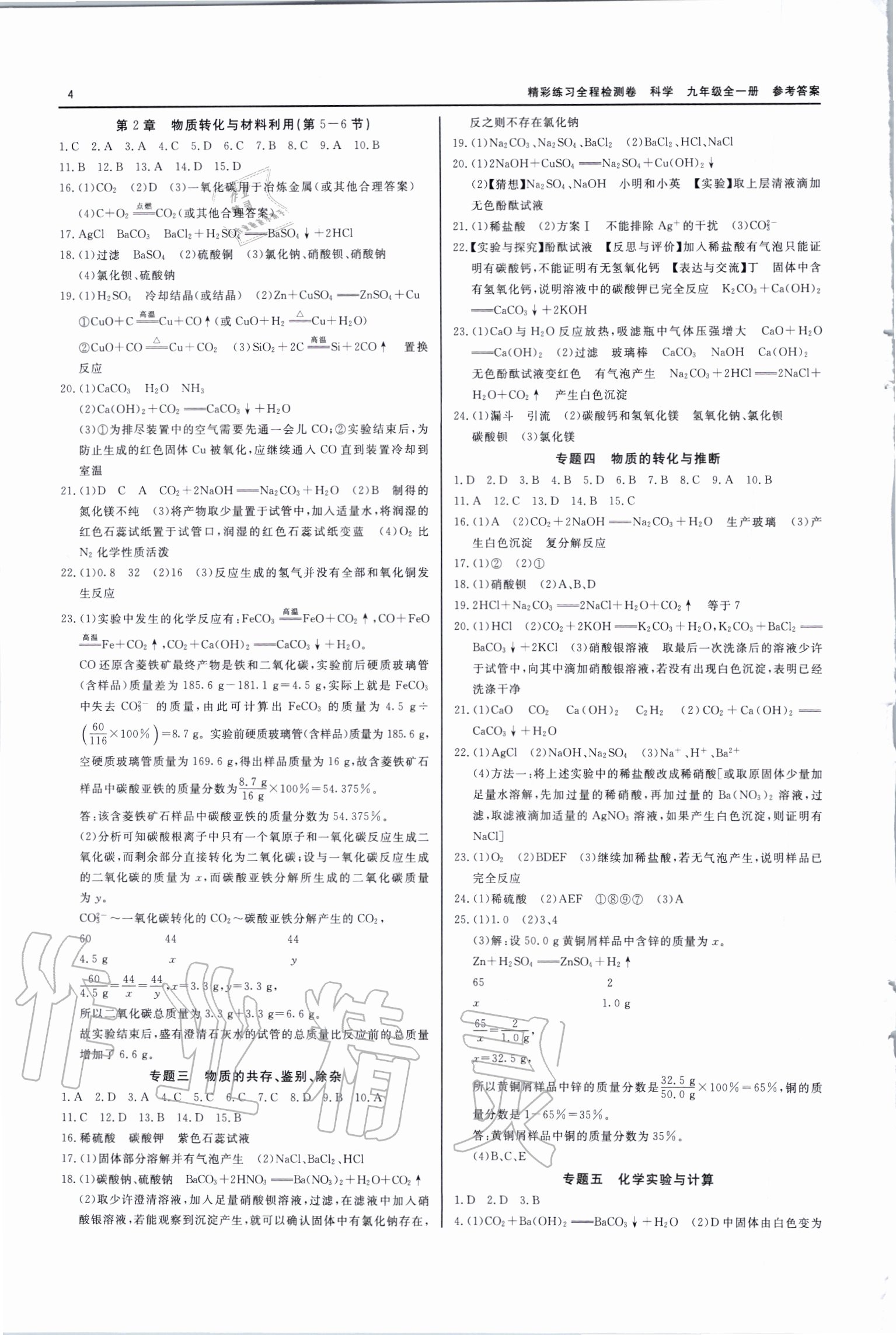 2020年全程檢測卷九年級科學(xué)全一冊通用版 第4頁