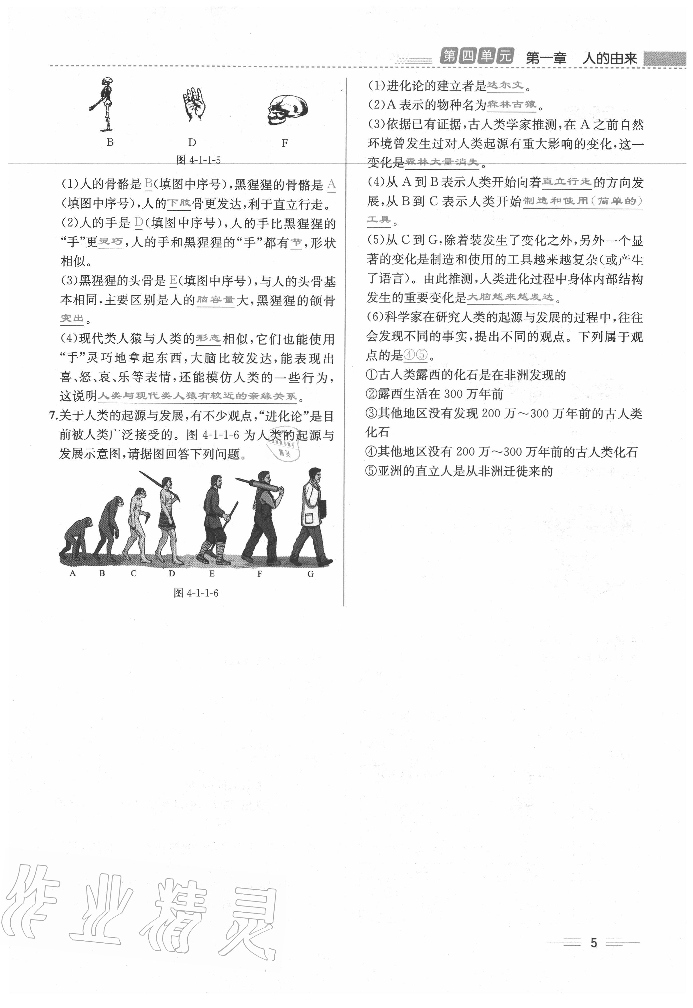 2020年人教金學(xué)典同步解析與測(cè)評(píng)七年級(jí)生物下冊(cè)人教版云南專版 第5頁