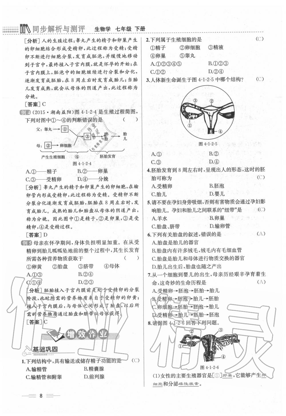 2020年人教金學(xué)典同步解析與測(cè)評(píng)七年級(jí)生物下冊(cè)人教版云南專版 第8頁