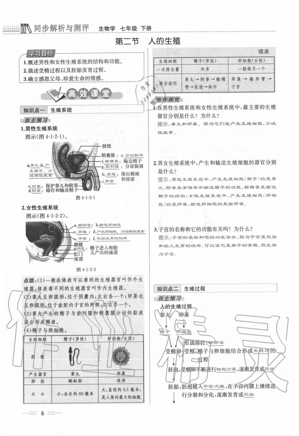 2020年人教金學典同步解析與測評七年級生物下冊人教版云南專版 第6頁