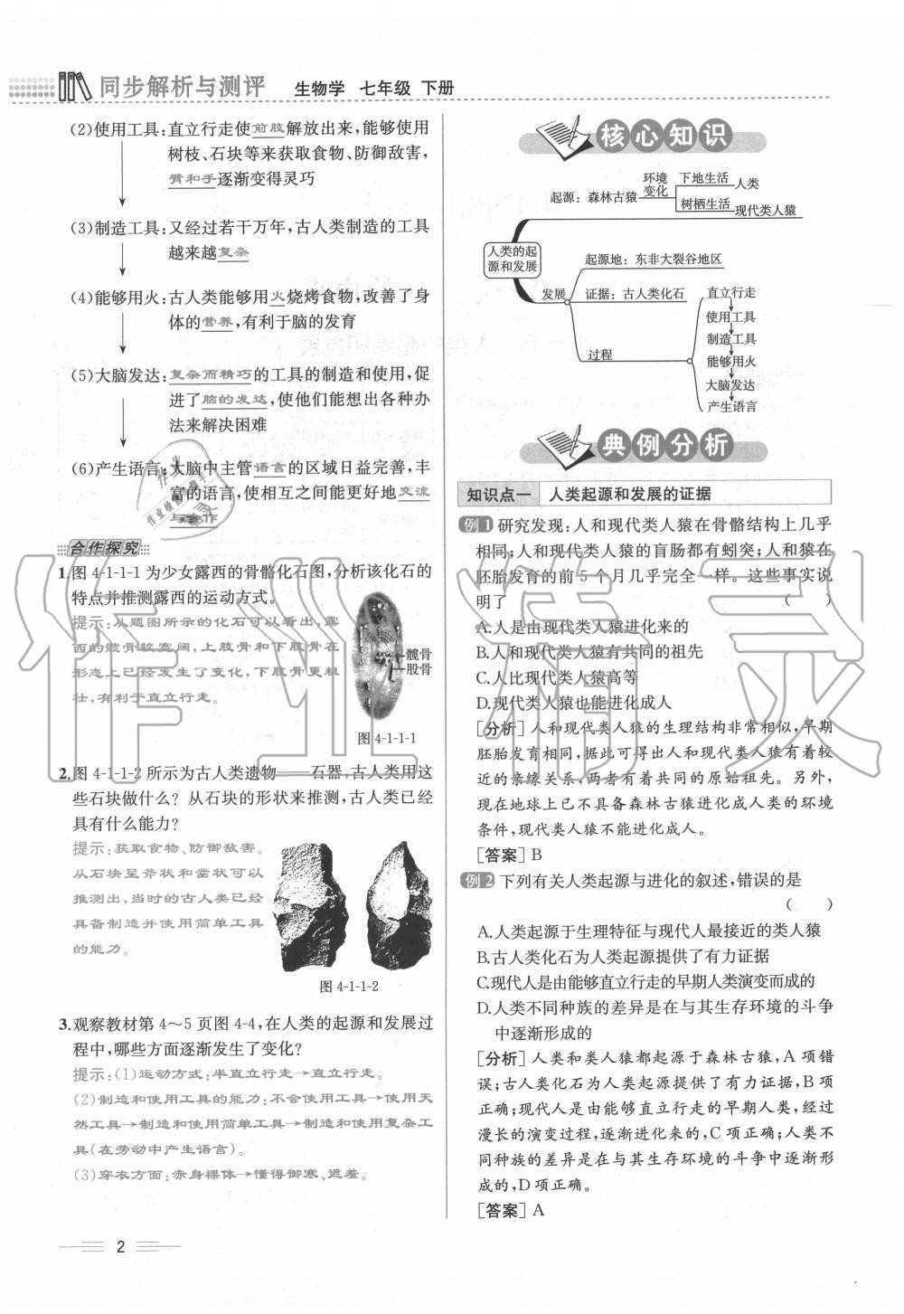 2020年人教金學(xué)典同步解析與測(cè)評(píng)七年級(jí)生物下冊(cè)人教版云南專版 第2頁(yè)