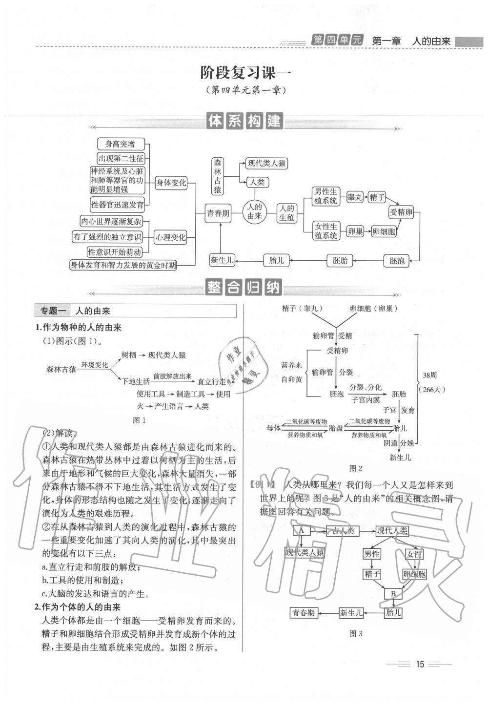 2020年人教金學(xué)典同步解析與測(cè)評(píng)七年級(jí)生物下冊(cè)人教版云南專版 第15頁(yè)